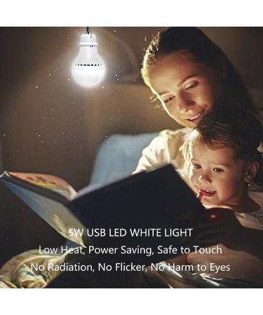 VTpower USB LED Light Bulb Camping Latern Outdoor Light with Simple Switch  Portable LED Bulb 5V 5W for Garage Warehouse Car Truck Fishing Boat Outdoor Emergency Light White Lamp 2.5m/8.2ft 1 Pack - Buy Online on GoSupps.com