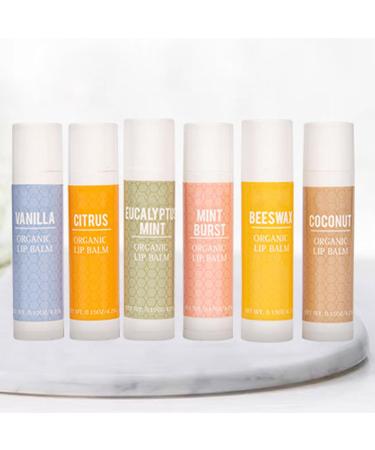 Natural Oil Lip Balm 6 Pack Hydrating Moisturizer for Dry Lips Soothing Long Lasting Lip Care Set White One Size One Size White - Buy Online on GoSupps.com