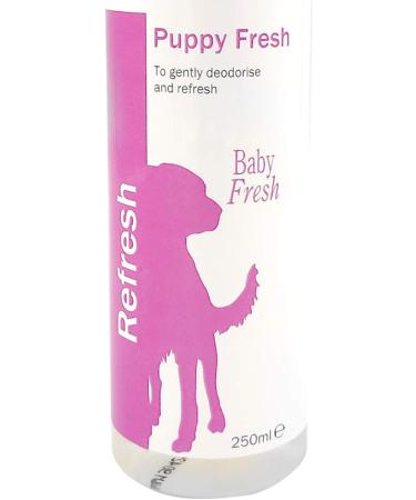 Groomers Puppy Fresh Fragrance Spray - 250ml | Long-lasting scent for puppies - Buy Online on GoSupps.com