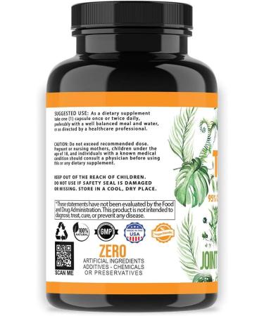 Vegan Turmeric Curcumin with Black Pepper Extract (60 Veggie Capsules-2 Month Supply) 95% Curcuminoids - All Natural Powerful Antioxidant for Joint Support and Relief (1-Bottle) - Buy Online on GoSupps.com