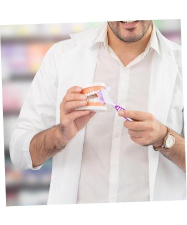 Garvalon 2-Piece Prosthesis Cleaning Brush Set | Denture & Braces Cleaning | Dual-Headed Brushes for Effective Cleaning - Buy Online on GoSupps.com