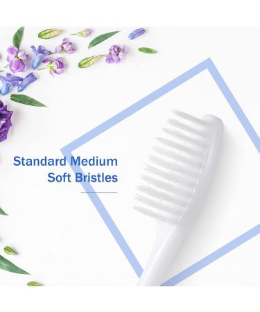 Honeydak 200 Disposable Toothbrushes | Individually Wrapped Soft Bristle Multicolor Travel Toothbrushes for Hotels | Ideal for International Shipping - Buy Online on GoSupps.com