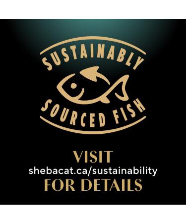 Sheba Gravy Indulgence Perfect Portions Adult Wet Cat Food Salmon Entr e in Extra Gravy 75g Tray (24 Pack) - Buy Online on GoSupps.com