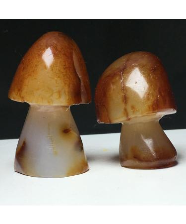 Natural Crystal Rough Stone Natural Agate Crystals raw specimens Hand-Carved Mushrooms Balance Gemstone Decoration - Buy Online on GoSupps.com