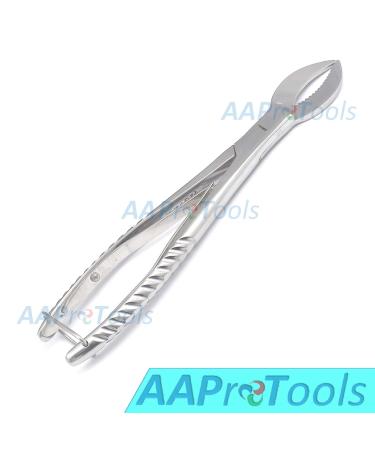 Buy Cow Horn Plaster Nipper | Premium Surgical Dental Instruments for Professionals - International Shipping Available - Buy Online on GoSupps.com