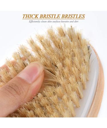 Premium Vegan Dry Body Brush | Natural Bristles Peeling Brush for Exfoliating Dead Skin Ideal for Bathing & Skincare - Buy Online on GoSupps.com