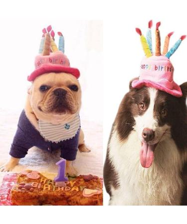 Cute Birthday Cake Hat for Pets with 5 Color Candles - Blue - Buy Online on GoSupps.com