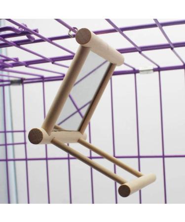 Hanging Bird Mirror Swing Toy - Interactive Play for Small Parrots & Birds - 2PCS - Buy Online on GoSupps.com