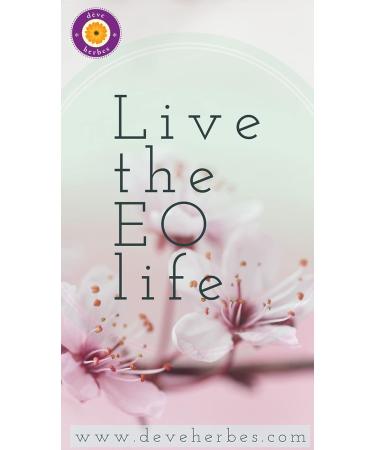 Deve Herbes Pure Babchi (Bakuchi) Oil (Psoralea corylifolia) | Cold Pressed | Natural | Undiluted | For Diluting Essential Oils | For Skin & Massage | Men & Women |15ml (0.50 oz) - Buy Online on GoSupps.com