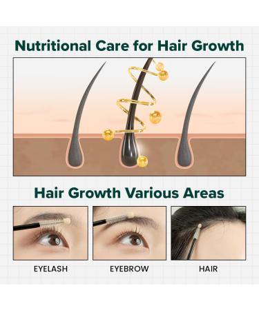 Buy Biotin Lash Serum for Eyelash & Eyebrow Growth | Thick Lashes & Brows | Korean Dermatologist Formula - 0.35oz - Buy Online on GoSupps.com