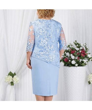 Women's Plus Size Floral Lace Sheath Dress - XXL Blue-1 | Knee Length Work Casual Party Cocktail Dress - Buy Online on GoSupps.com