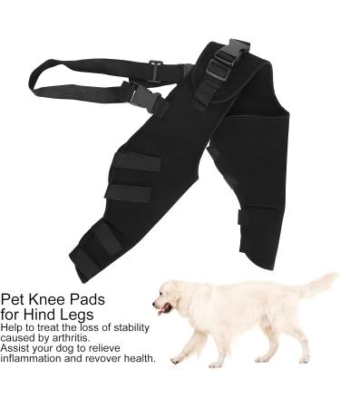 BORDSTRACT Dog Leg Braces for Hind Leg Adjustable Dog Knee Brace for Cruciate Ligament Injury Protecting Wounds Surgery Healing Arthritis Joint Pain and Muscle Sore HJ25 XS - Buy Online on GoSupps.com