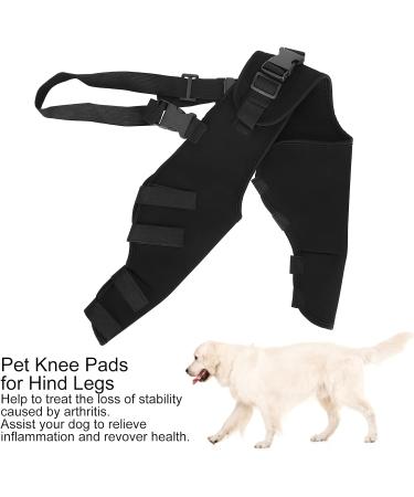 BORDSTRACT Dog Leg Braces for Hind Leg Adjustable Dog Knee Brace for Cruciate Ligament Injury Protecting Wounds Surgery Healing Arthritis Joint Pain and Muscle Sore HJ25 M - Buy Online on GoSupps.com