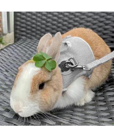 Adjustable Rabbit Leash Rabbit Leash Rabbit Accessories Cat Harness Set with Lead Pet Harness and Lead for Bunny Cat Little Pet Walking 27-35 cm 1.20 m - Buy Online on GoSupps.com