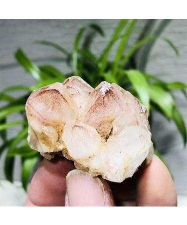 Natural Crystal Rough Stone 50g Natural Red Ghost Pyramid Quartz Crystal Cluster Specimens Balance Gemstone Decoration - Buy Online on GoSupps.com