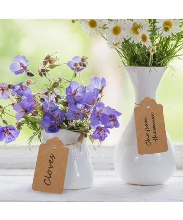 SallyFashion Kraft Paper Tags - 600 PCS Craft Hang Tags with Free Natural Jute Twine for Gifts, Arts and Crafts, Wedding, Holiday - Brown - Buy Online on GoSupps.com