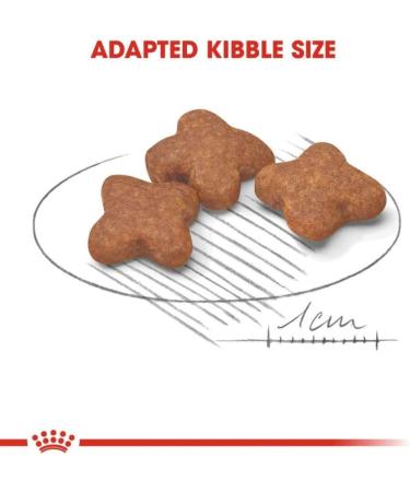 ROYAL CANIN Dog Food Mini Adult 8+ 8kg - Buy Online on GoSupps.com
