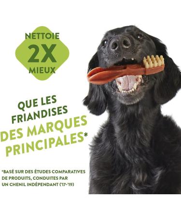 Whimzees Natural Grain-Free Dental Care Snacks for Dogs - Crocodile & Toothbrush Sticks (12 Pieces Each 2-Pack) | Best International Shipping! - Buy Online on GoSupps.com