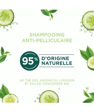 Natur Moi - Anti-Dandruff Shampoo - Sulfate-Free - Care for Normal Dandruff Hair - Tea Organic Cucumber Water - 95% Natural Origin - 250 ml - Made in France - Buy Online on GoSupps.com
