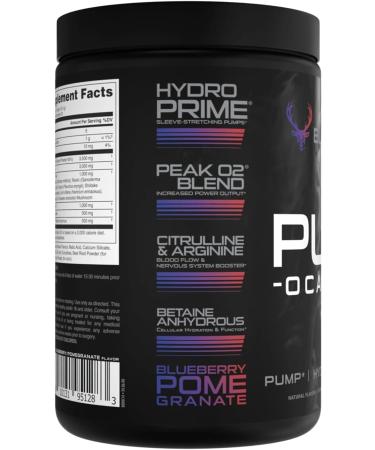 Pump-ocalypse Blueberry Pomegranate | Nitric Oxide L Arginine Supplement | Citrulline Malate GlycerPump | Ultimate N.O. Booster | Lean Muscle Support | Blood Flow Vascularity Hydration Endurance - Buy Online on GoSupps.com