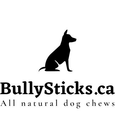 12" Jumbo Odourfree Bully Sticks (6 Pack) Large Dog Dental Chew (335 g)-Rawhide Free-Chemical Free-LONGLASTING - Buy Online on GoSupps.com