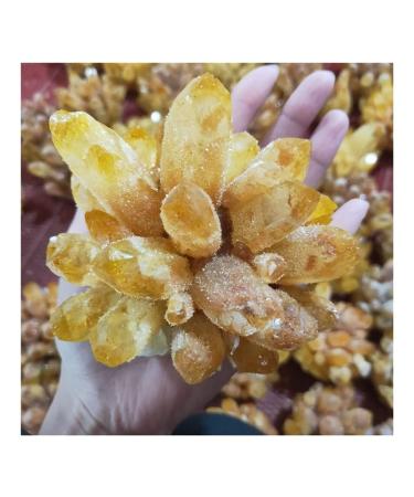 Natural Crystal Rough Stone Crafts Natural Citrine Phantom Quartz Crystal Cluster Specimen (Size : 500-600g)