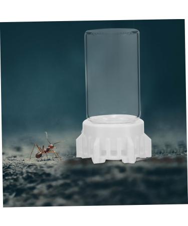 Yardwe Ant Water Dispenser - Ideal for Ant Nests & Feeding | 6.00x3.70x3.70cm | International Shipping - Buy Online on GoSupps.com