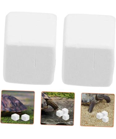 ORFOFE 12pcs Pet Mineral Hermit Crab Shells Cold Shipping Boxes White - Buy Online on GoSupps.com