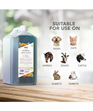 WAHL Shampoo for Pets - Jet Black 5L | Premium Pet Care International Shipping - Buy Online on GoSupps.com