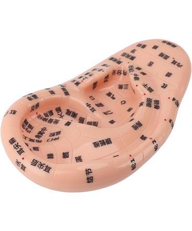 Buy Ear Zone PVC Acupuncture Point Model - Reflexology Teaching Aid for International Shipping - Buy Online on GoSupps.com
