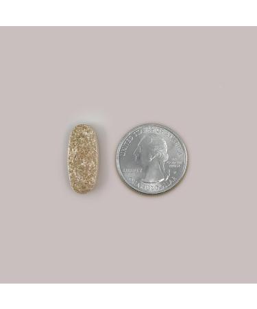 Nugenix Essentials L-Arginine Amino Acid Supplement 1000 mg 150 Tablets 150 Count (Pack of 1) - Buy Online on GoSupps.com