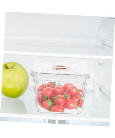 Zerodeko Box Refrigerator Crisper Baby Food Fruit Storage Containers Egg Holder Refrigerator Vegetable Onion - Buy Online on GoSupps.com