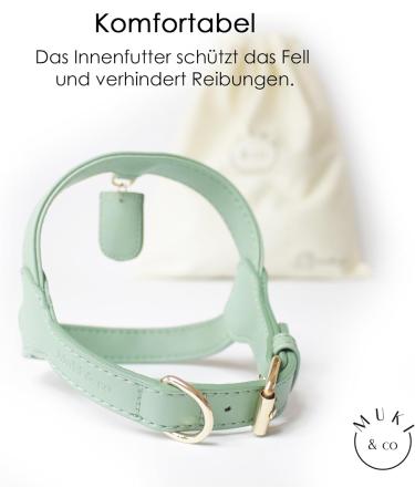 Muki & Co Adjustable Double Dog Dishes - Safe & Comfortable for Extra Small Small & Medium Dogs - Mint Green XS (44-50 cm) - Buy Online on GoSupps.com