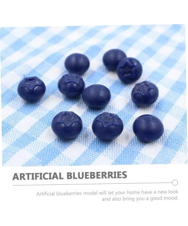 Alipis 150 Pcs Simulation Blueberry Realistic Berry Fake Blueberries Decor Blueberries Photo Prop Fake Blueberry Lifelike Fruits Model Miniature Blueberry Scrapbook Fake Fruit Resin - Buy Online on GoSupps.com