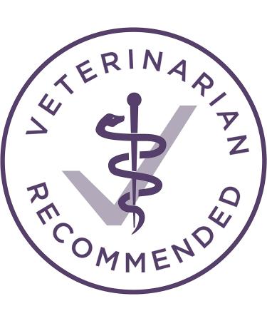 Purina ONE SmartBlend Vibrant Maturity Senior 7+ Dry Dog Food - Chicken, 8 lb Bag - Buy Online on GoSupps.com
