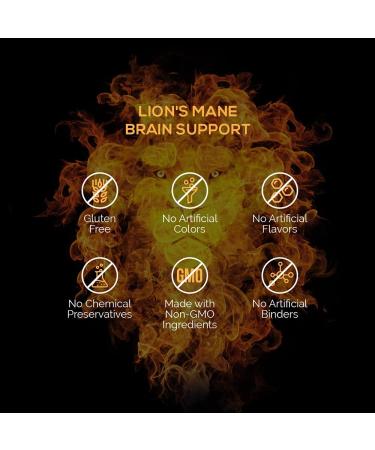 Intelligent Labs Lion s Mane Mushroom Capsules Extracted from The Fruiting Bodies of Hericium Erinaceus Minimum 25% Beta Glucans No Grain Fillers 2-Month Supply - Buy Online on GoSupps.com