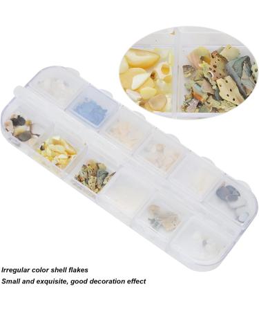Buy Irregular Shell Slices for Nail Art | Resin Shells & Decorative Pieces | International Shipping - Buy Online on GoSupps.com