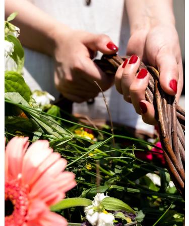 Buy PODERM Nail Polish - Tea Tree Infused Natural & Vegan Swiss Made - Improve Nail Appearance | Powder Pink - Buy Online on GoSupps.com