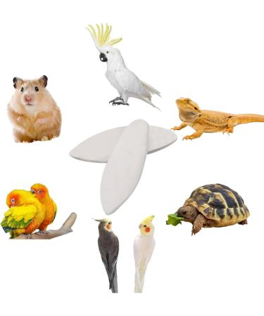 Shop Camp Trip 6-Piece Sepia Bowl Set for Parrots & Reptiles - Durable Chewing Toys with Metal Holders & Ink Fish Bones - 10-12cm - Buy Online on GoSupps.com