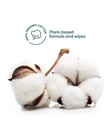 Rawganic Anti-Aging Hydrating Facial Wipes - Fragrance-Free Organic Cotton with Pomegranate & Aloe Vera (Pack of 4, 25 Count) - Buy Online on GoSupps.com