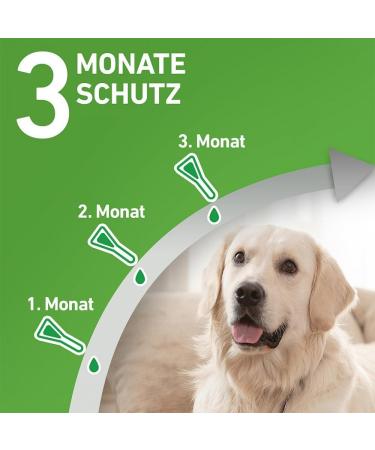 Buy Frontline Combo Spot On for Dogs - Effective Flea & Tick Treatment | Fast Worldwide Shipping - Buy Online on GoSupps.com