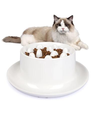 SherryJerryGarry Slow Feeder Cat Bowls,Fun Interactive Feeder Bloat Stop Puzzle Cat Bowl Preventing Feeder, Easy to Clean Dishwasher Safe, Pet Dog Slow Feeding Bowls