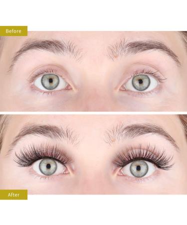 LASHVIEW 3D Faux Eyelashes - Natural Look Wispies, Soft & Reusable | 5 Pair Pack - Buy Online on GoSupps.com