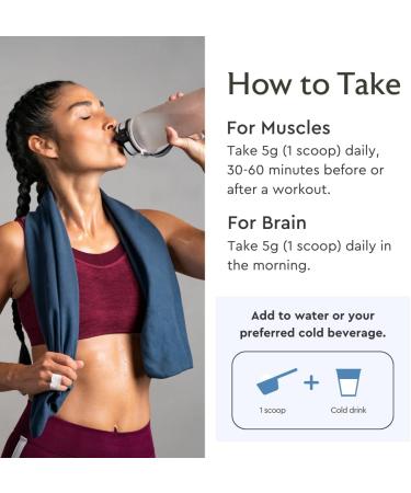 Alaya Naturals Micronized Creatine Monohydrate Powder Pure Performance Fuel for Strength, Mental Focus, Vegan, Non-GMO, Easily Mixable & Flavorless - 5 g - Buy Online on GoSupps.com