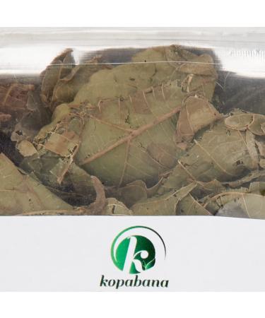 KOPABANA GREEN Djeka Leaves 1oz - Alchornea Cordifolia Dry Leaves for Yoni Care | Christmas Bush V Steam Herbs - ogymama - Buy Online on GoSupps.com