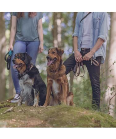 Trixie Drag Line S-M 10m 5mm Black - Long Dog Leash for Training & Outdoors - Ideal for Small to Medium Dogs - 19761 - Buy Online on GoSupps.com