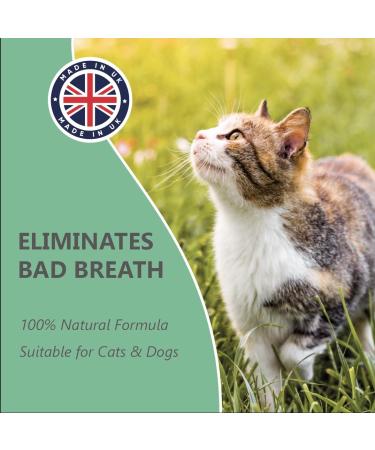 Pets Purest Breath Freshener & Dental Teeth Cleaning Spray - 100% Natural Mouthwash for Dogs & Cats - 250ml - Buy Online on GoSupps.com