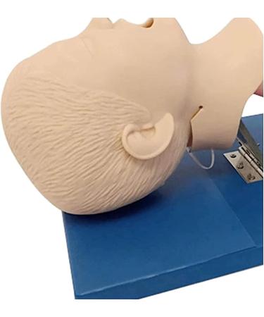 Neonatal oronasal Intubation Model Airway Management Trainer PVC Demo for Science Education School Teaching Display Model - Buy Online on GoSupps.com