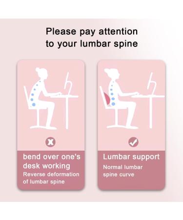 Neck & Back Extensor 2-in-1 - Relief for Neck & Back Pain | New Life Back Stretcher - Buy Online on GoSupps.com