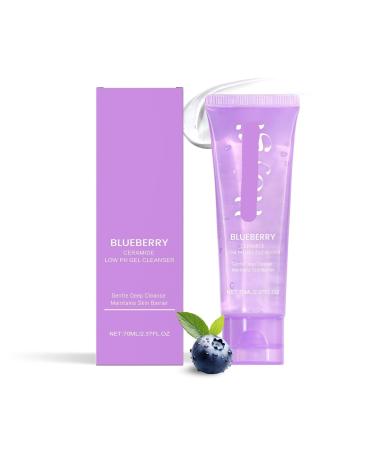 Blueberry Facial Cleansing Gel - Gentle Cleanser For Deep Cleanse Hydration & Moisture Leaves Skin Fresh & Smooth(1PCS)